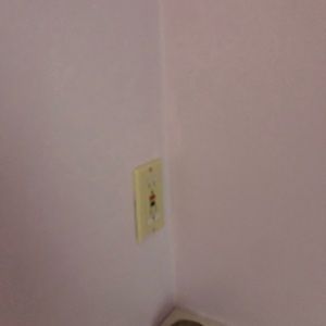 Meet your Posher, Lilly